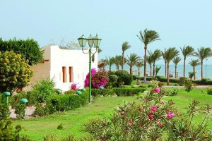 magawish-village--resort-4- magawish-village--resort-4-