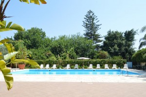 siciliadelle-palme siciliadelle-palme