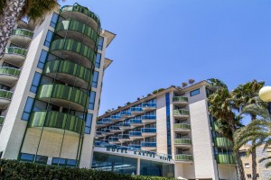 kaktus-albir-4albir kaktus-albir-4albir