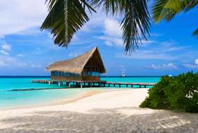 Роскошный отдых на Багамах