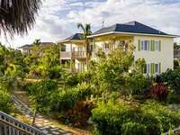 Отель Pineapple Fields 4* Pineapple Fields 4*