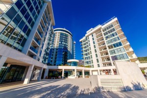budvatre-canne-5 budvatre-canne-5