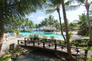 coral-costa-caribe coral-costa-caribe