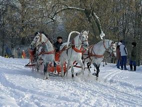 Катание на тройке