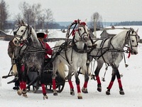 Новогодняя тройка лошадей