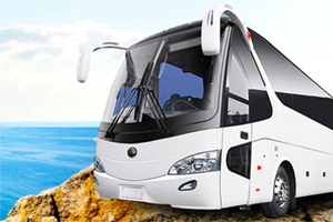  Автобусные туры на море 