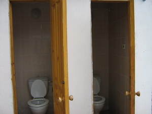Москвичка туалет