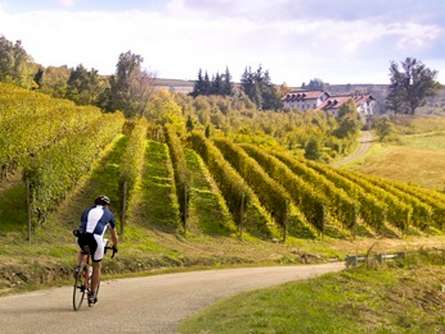 На велосипеде по Италии