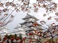 Японский дворец в цветах