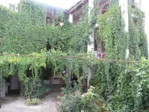 отель Лилия сады