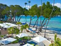 Сеть Elegant Hotels Barbados
